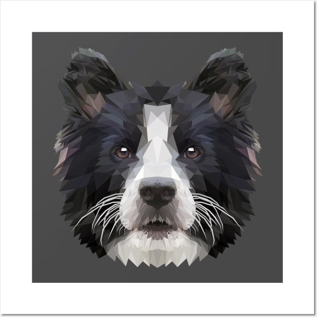 Border collie Wall Art by Edwardmhz